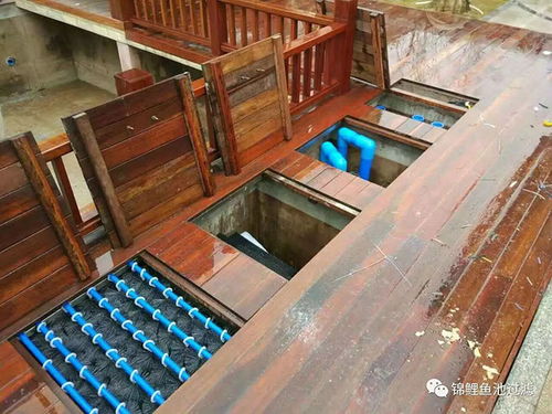 別墅魚(yú)池過(guò)濾器奧利仕 陜西別墅魚(yú)池過(guò)濾 奧利仕