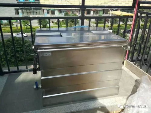 庭院魚池水清魚靚的秘密,選對過濾系統(tǒng)功不可沒